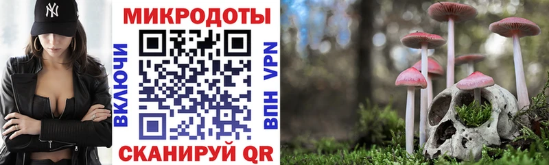 hydra ссылки  Краснокаменск  Псилоцибиновые грибы Psilocybe  купить наркотик 