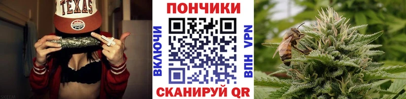 Конопля планчик Краснокаменск